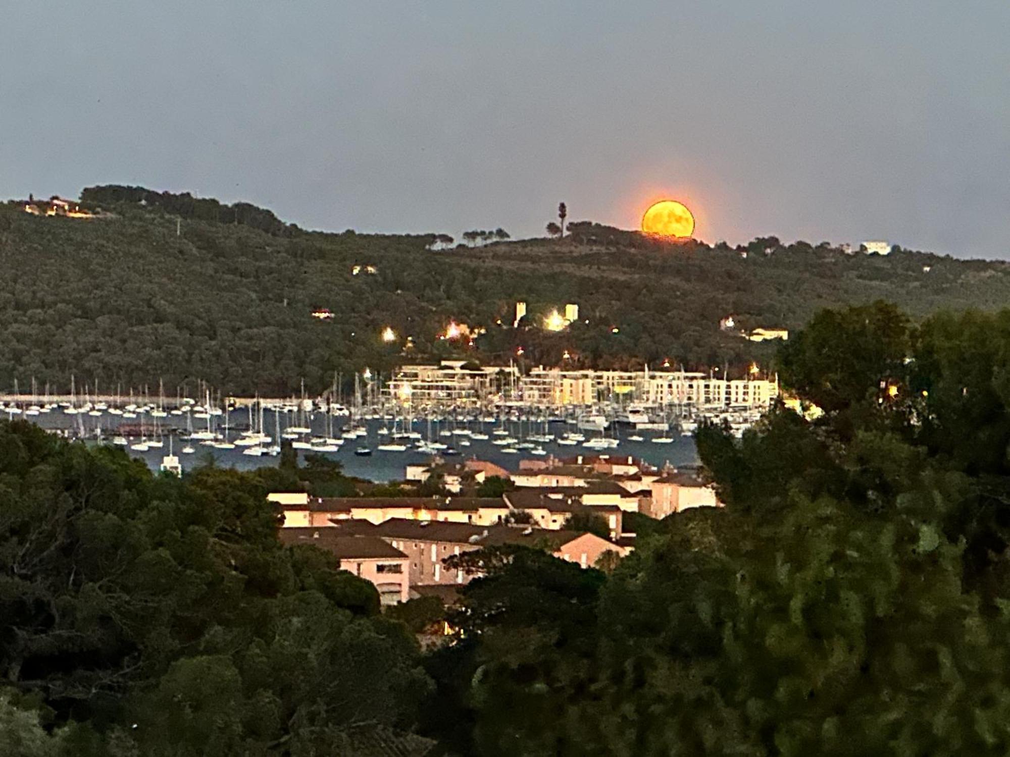 Vila Grande Maison Vue Mer Avec Piscine 15Mn A Pieds De La Plage La Seyne-sur-Mer Exteriér fotografie